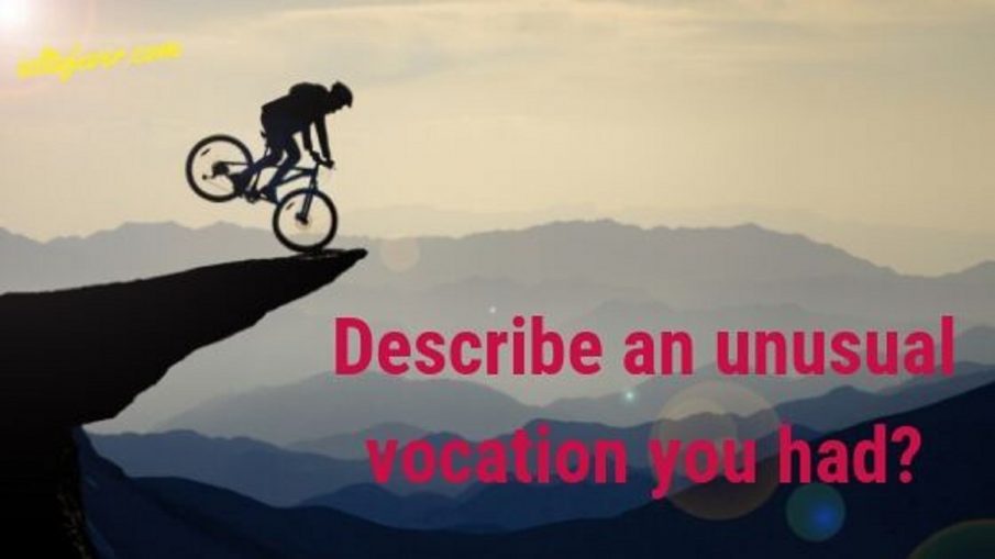 Describe an unusual vocation you had