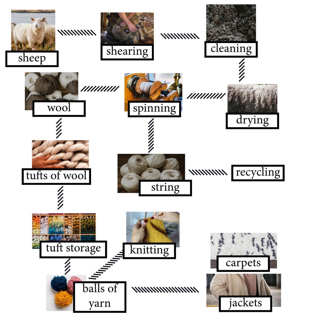 The Diagram Details the Process of Making Wool