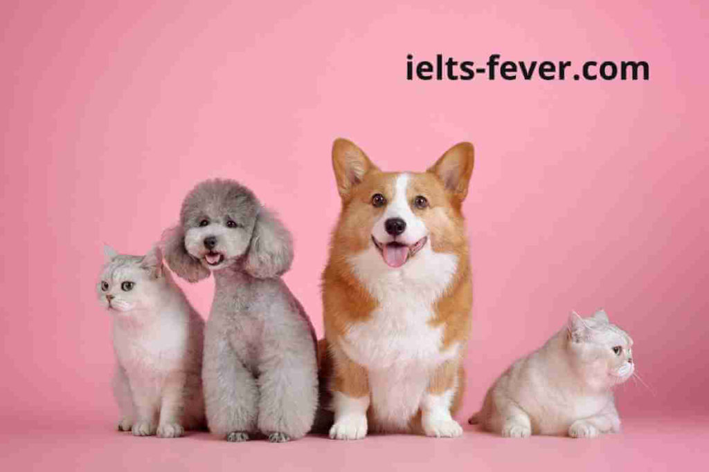 Pets and animals IELTS Speaking Part 1 Questions With Answer (1)