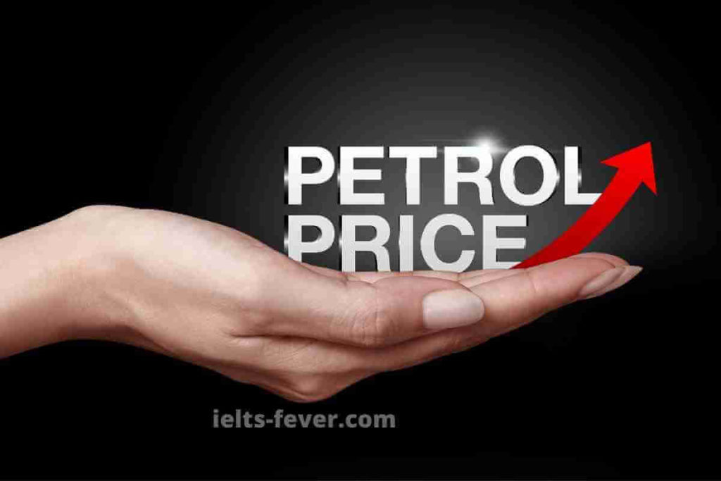 Increasing the Price of Petrol Is the Only Way to Solve Environmental Problems. (2) (1)