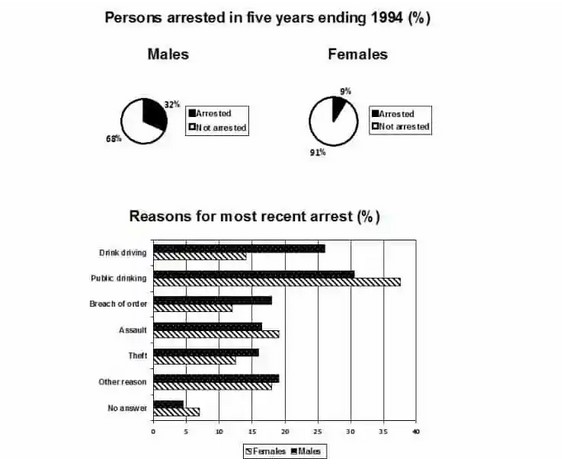 The pie chart shows the percentage of persons arrested in the five years ending 1994