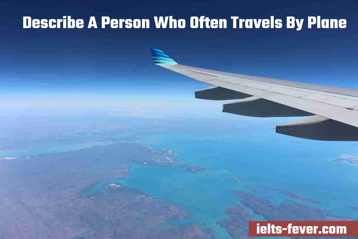 Describe A Person Who Often Travels By Plane