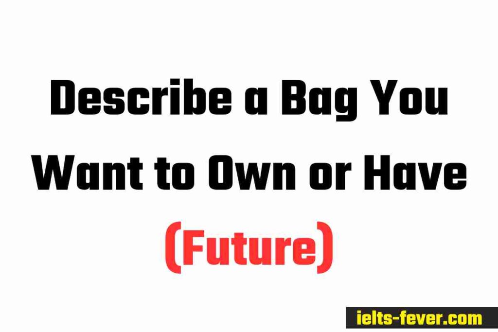 Describe a Bag You Want to Own or Have (Future)