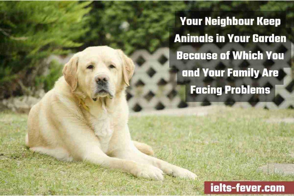Your Neighbour Keep Animals in Your Garden Because of Which You and Your Family Are Facing Problems
